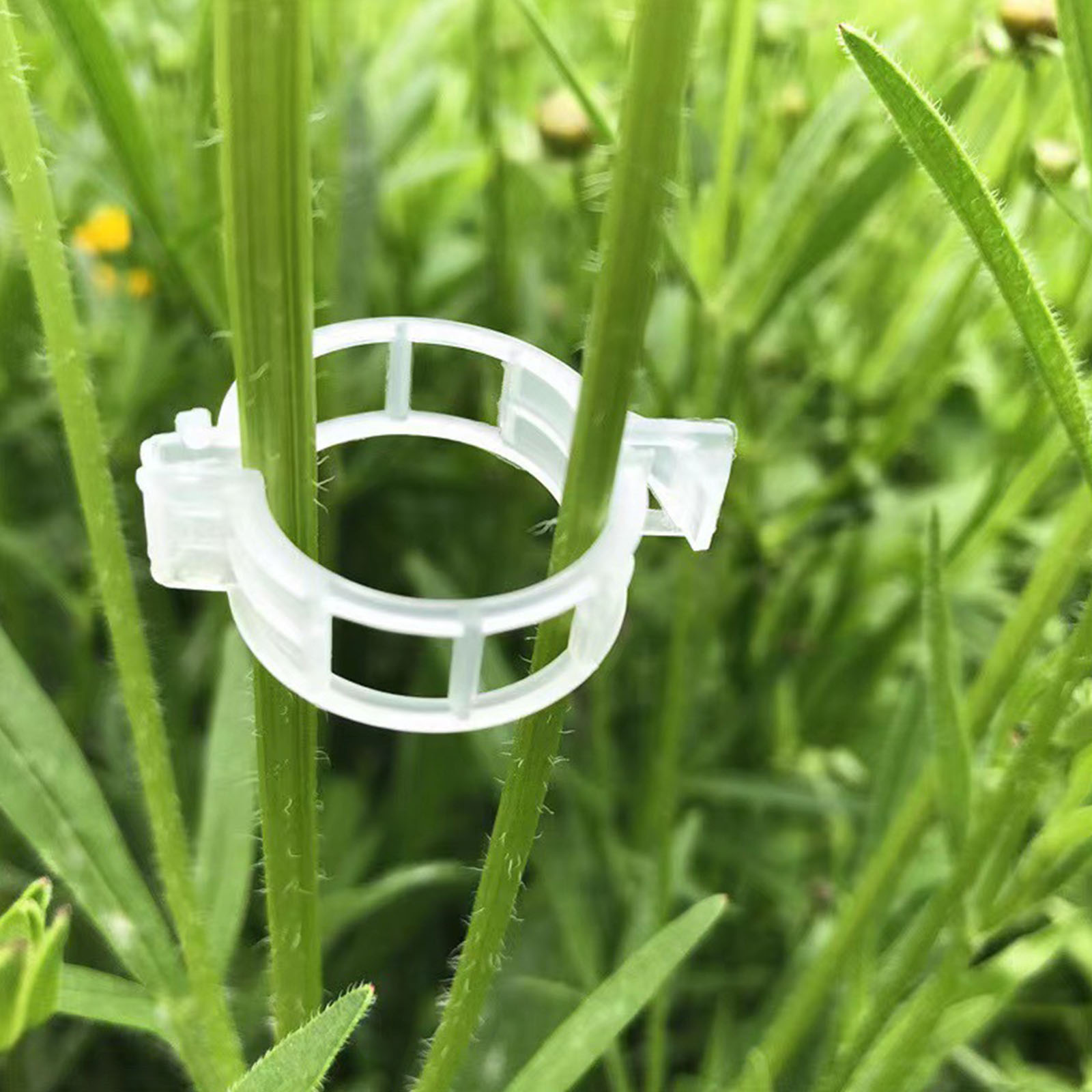 Vine Climbing Plastic - 安全なプラスチック製の植物クリップ、庭用クリップの固定に、再利用可能で使いやすい、つる性植物、ブドウの蔓、野菜の茎に最適です。