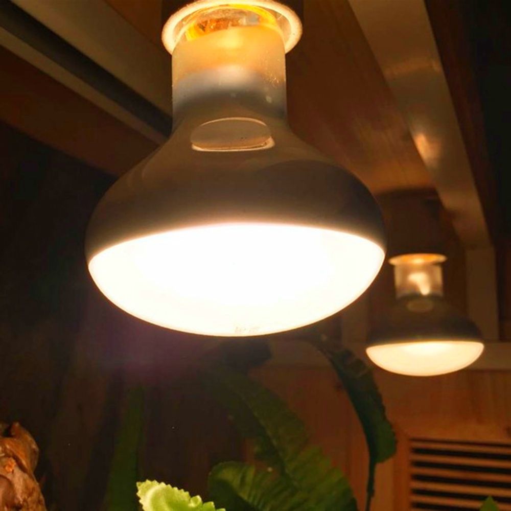 リザードヒーター温度調節器 バスキングライト ハロゲン電球  - Basking Bulb Halogen のレビューと価格