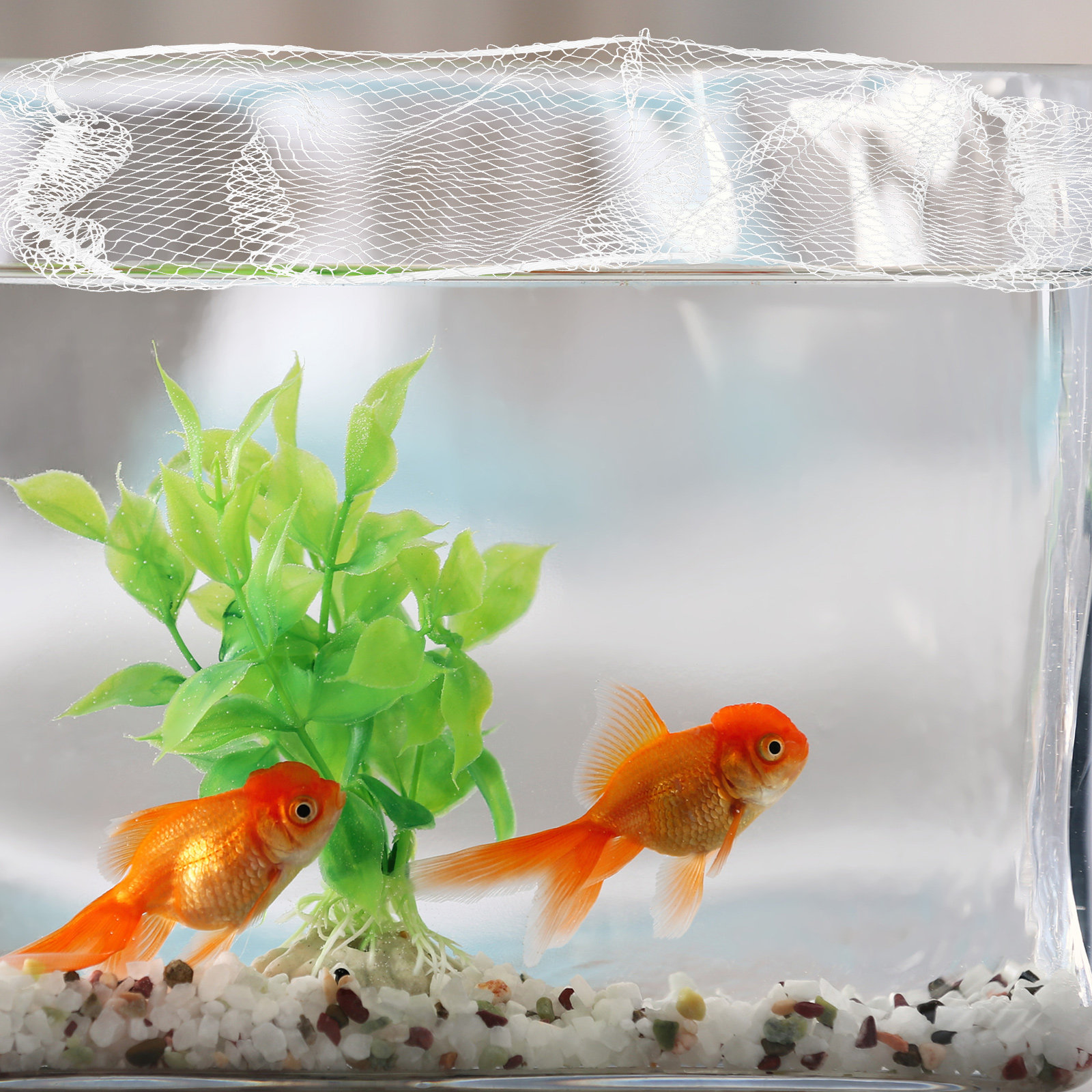75x22cm ナイロン製水槽用メッシュネットカバー 魚やカ - Screen Top Mesh のレビューと価格