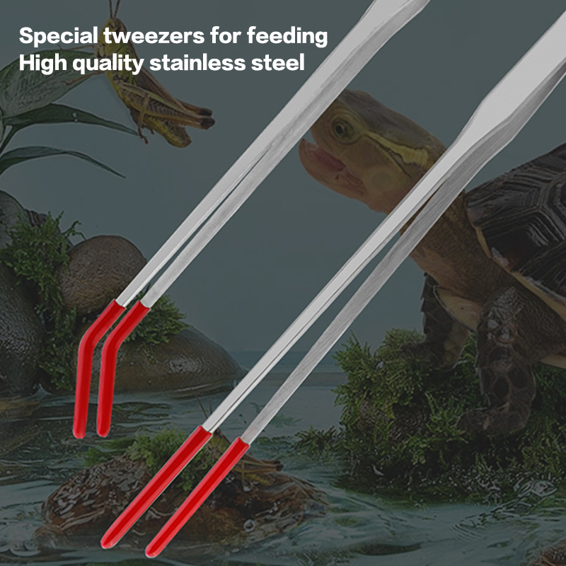ステンレス製爬虫類用餌やりトング、ゴム製先端、水族館用ストレ - Feeding Tong Stainless のレビューと価格