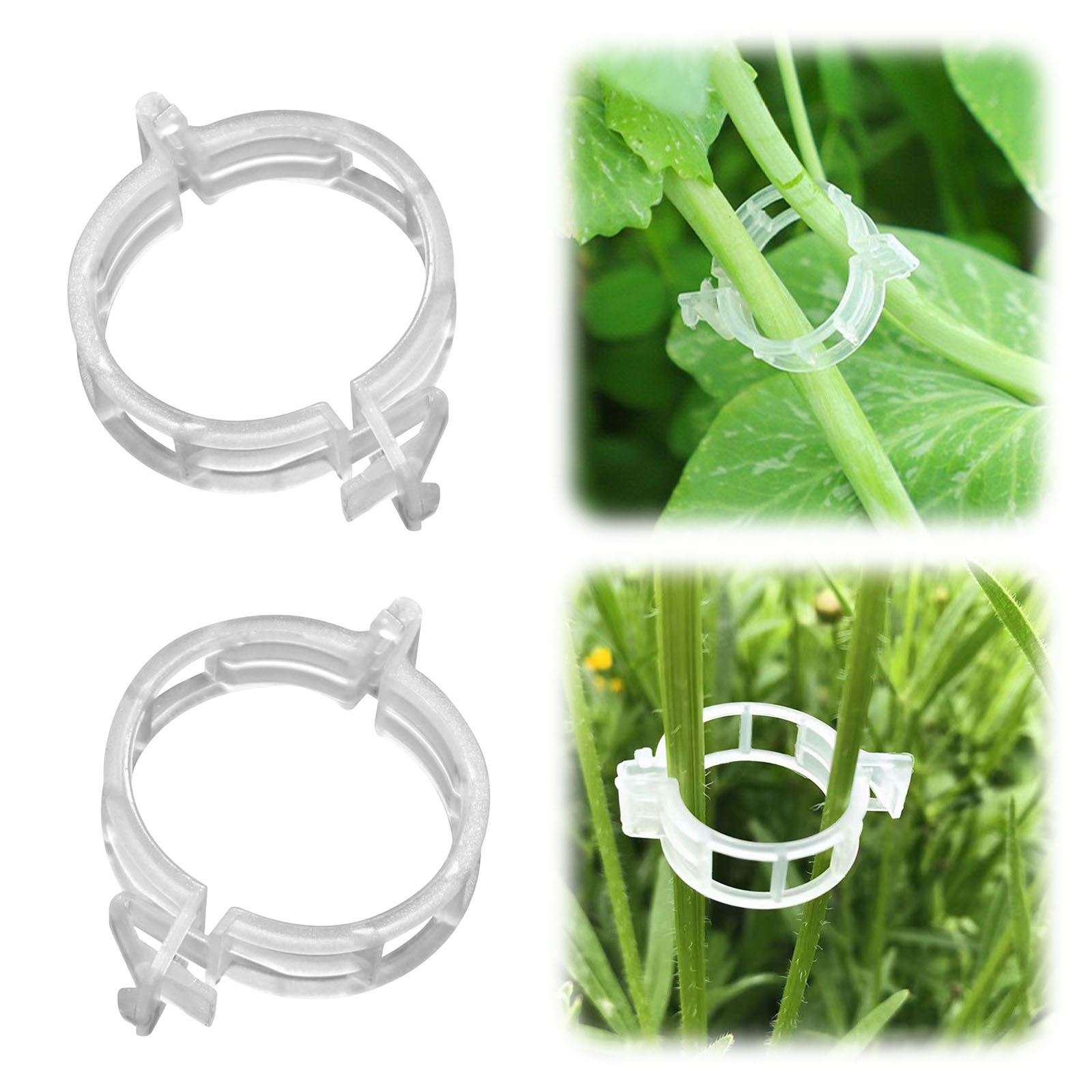 安全なプラスチック製の植物クリップ、庭用クリップの固定に、再 - Vine Climbing Plastic のレビューと価格