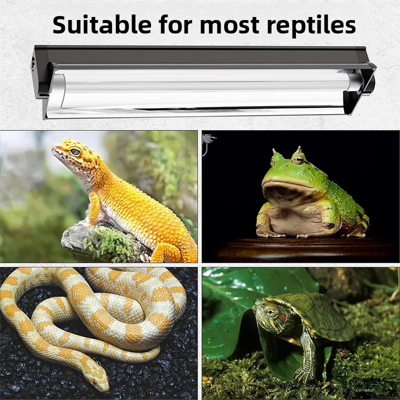 T5 UVBランプ一体型固定ガラス水槽付き爬虫類ライトキット - Calcium Powder Reptile のレビューと価格